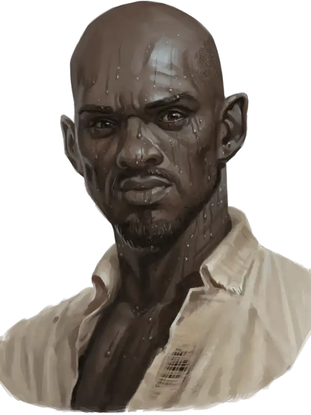 Emil Toranescu (COS)
